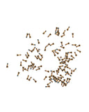 Replacement Bottom Screws Compatible with Apple iPhone 7 / 7 Plus (Gold) (100 Pack)