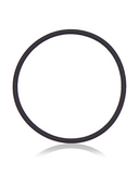 Replacement Back Camera Lens O-Ring Gasket Compatible with Apple iPhone XR / 11 / 11 Pro / 11 Pro Max / 12 / 12 Mini / 12 Pro (100 Pack)