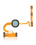 Replacement Fingerprint Reader With Flex Cable Compatible with Google Pixel 5 ( Sorta Sage)