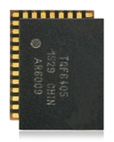 Replacement Signal IC Compatible with Apple iPhone 6S / 6S Plus (UHBPA_RF: TQF6405: 55 Pins)