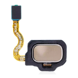 Replacement Fingerprint Reader With Flex Cable Compatible with Samsung Galaxy S8 / S8 Plus (Maple Gold)